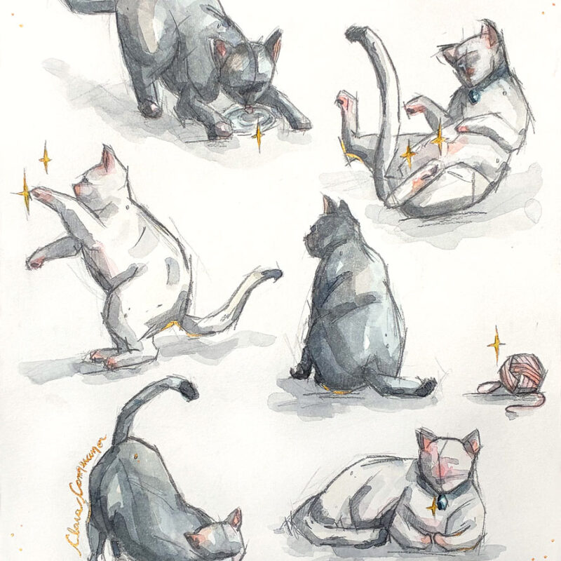 Estudo de Gatinhos (Original)